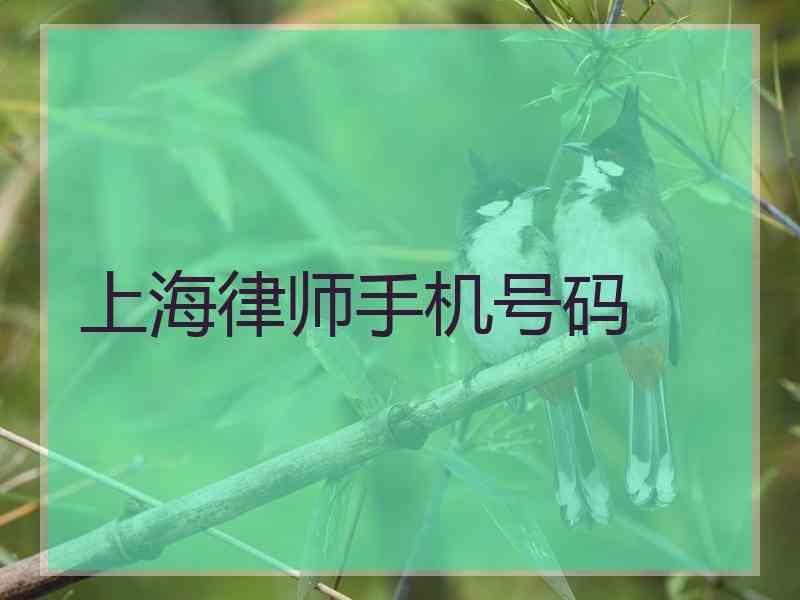 上海律师手机号码