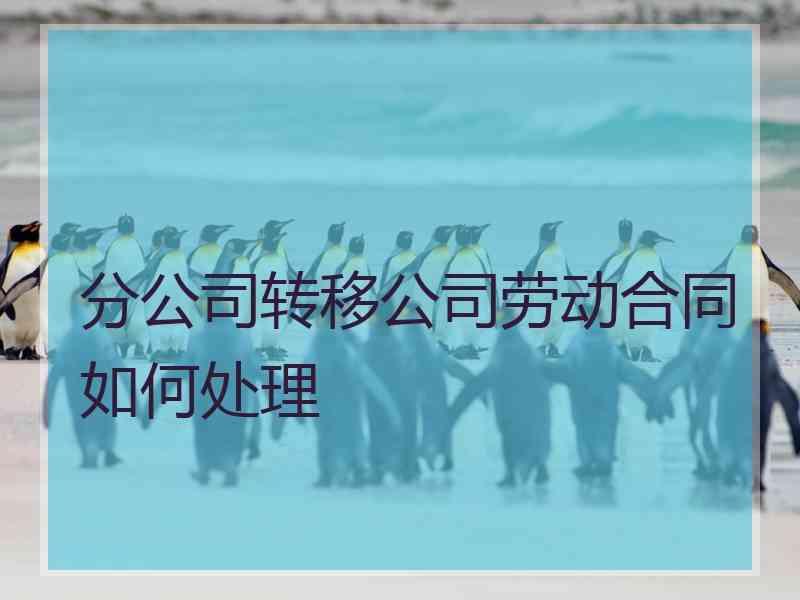 分公司转移公司劳动合同如何处理