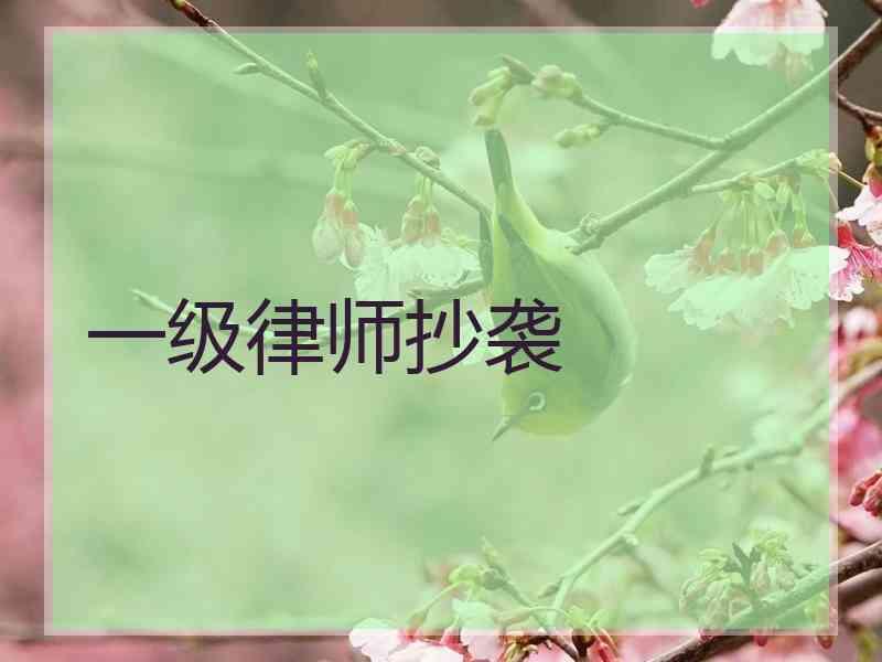 一级律师抄袭