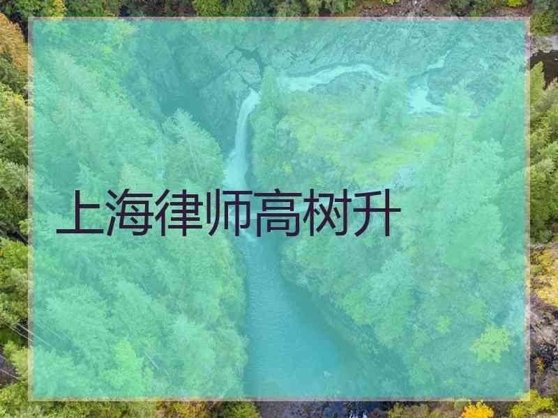 上海律师高树升