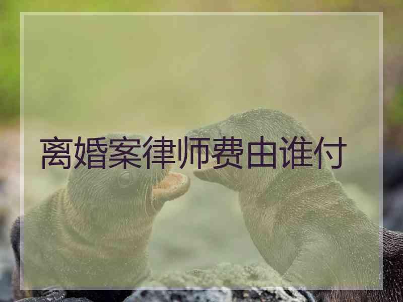 离婚案律师费由谁付