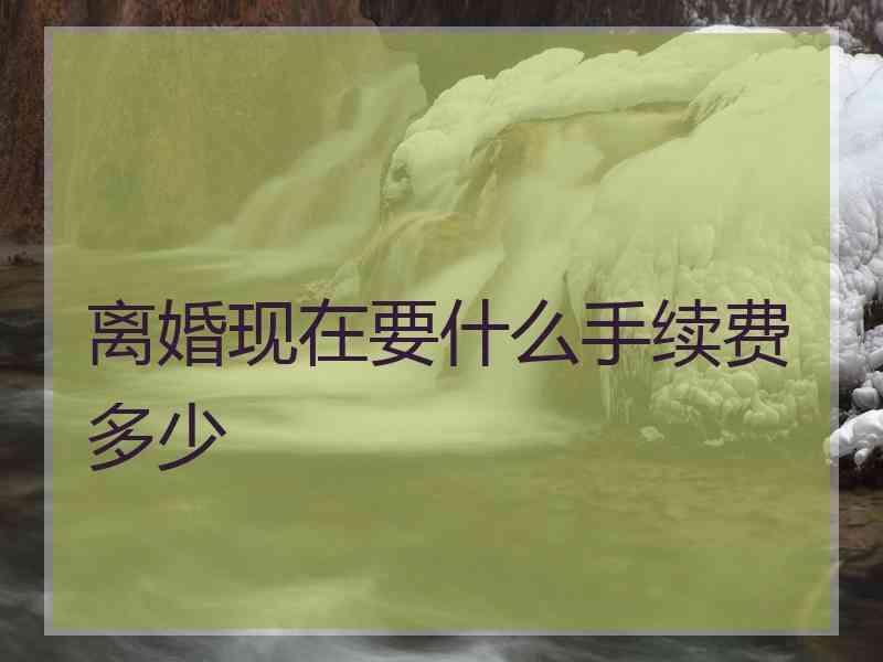 离婚现在要什么手续费多少