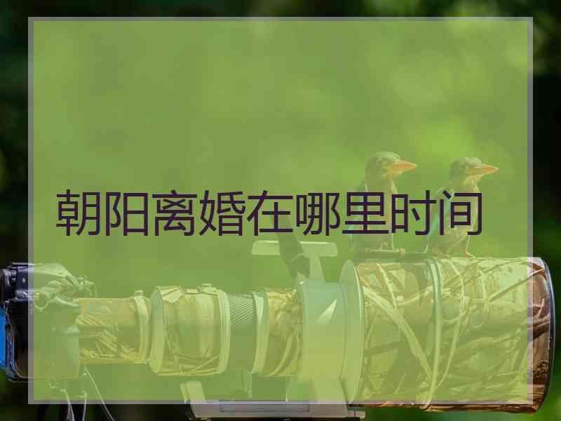 朝阳离婚在哪里时间