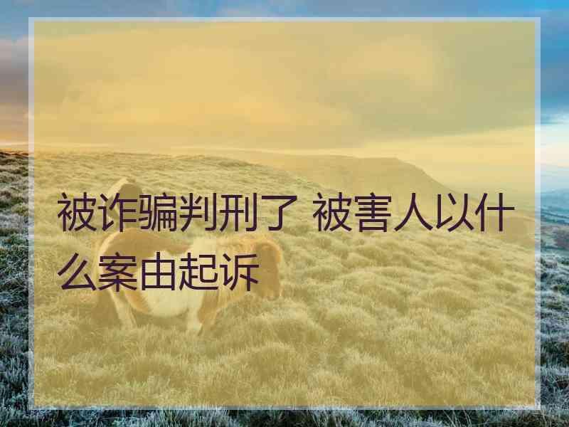 被诈骗判刑了 被害人以什么案由起诉