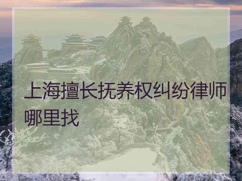 上海擅长抚养权纠纷律师哪里找