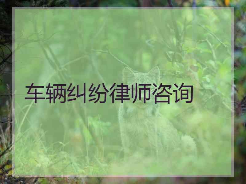 车辆纠纷律师咨询