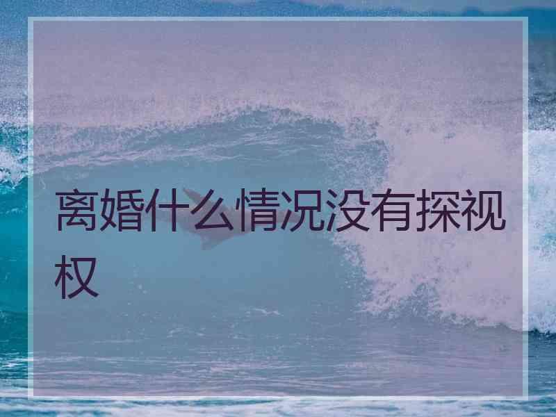 离婚什么情况没有探视权