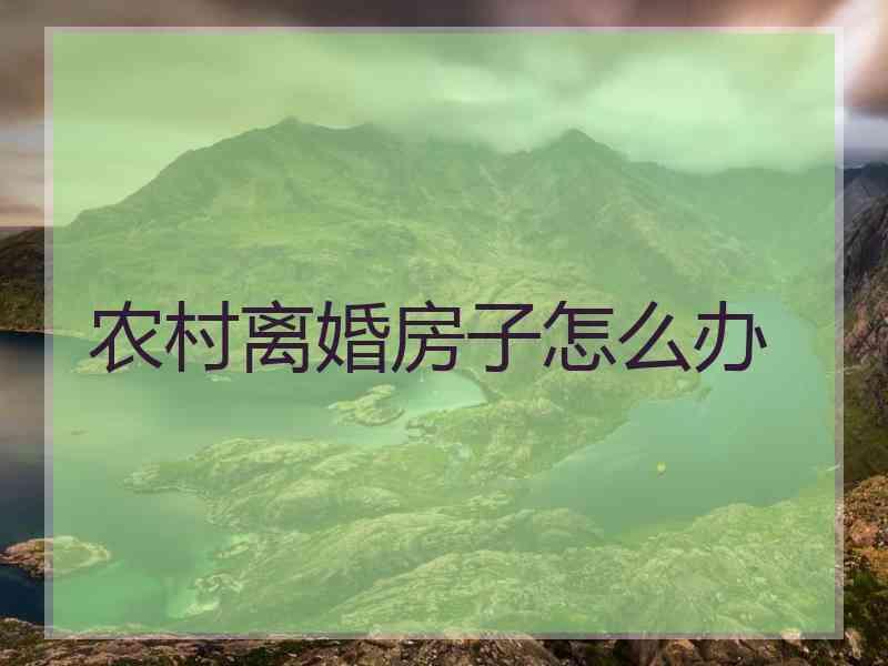 农村离婚房子怎么办