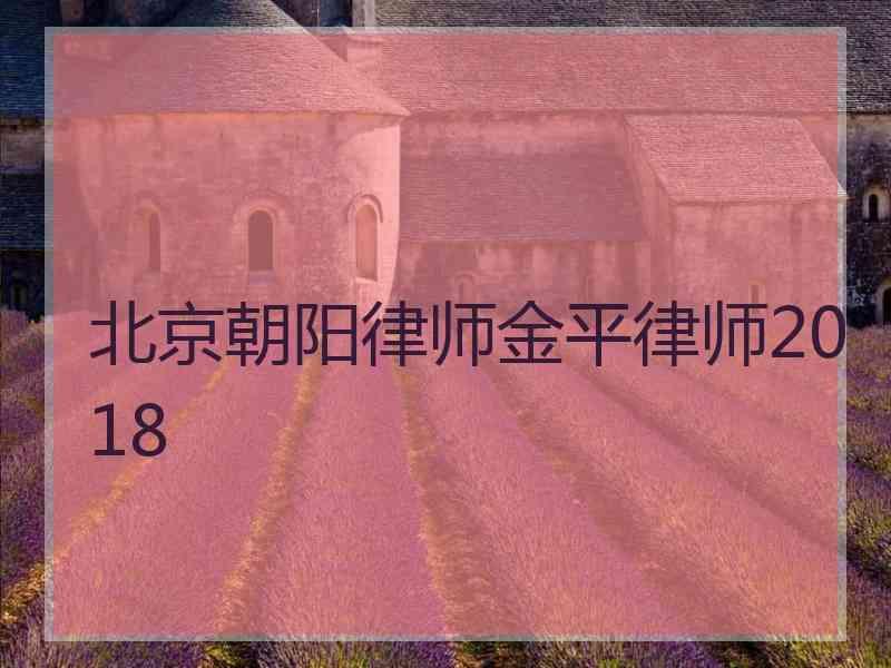 北京朝阳律师金平律师2018