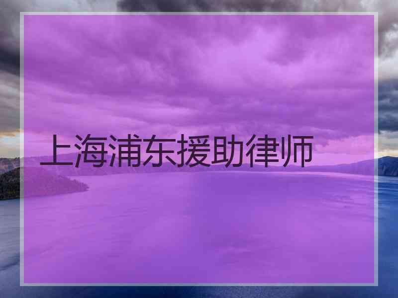 上海浦东援助律师