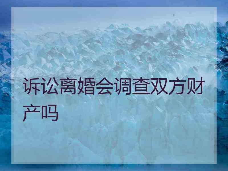 诉讼离婚会调查双方财产吗