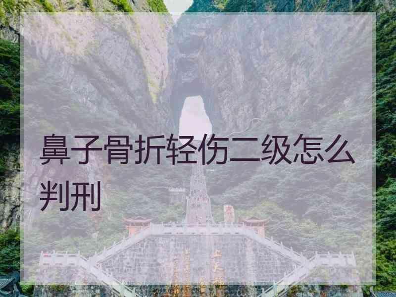 鼻子骨折轻伤二级怎么判刑