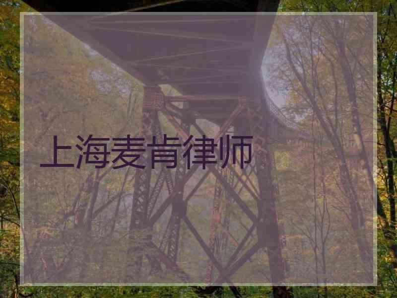 上海麦肯律师
