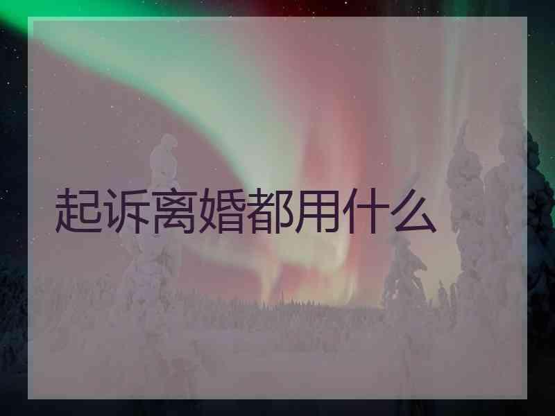 起诉离婚都用什么