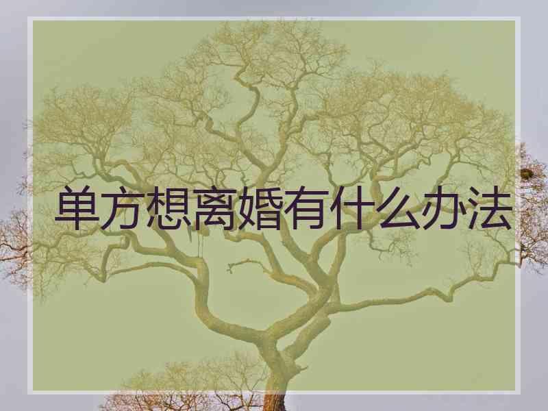 单方想离婚有什么办法