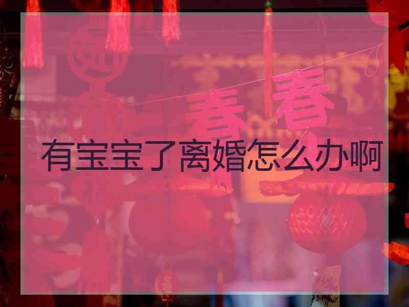 有宝宝了离婚怎么办啊