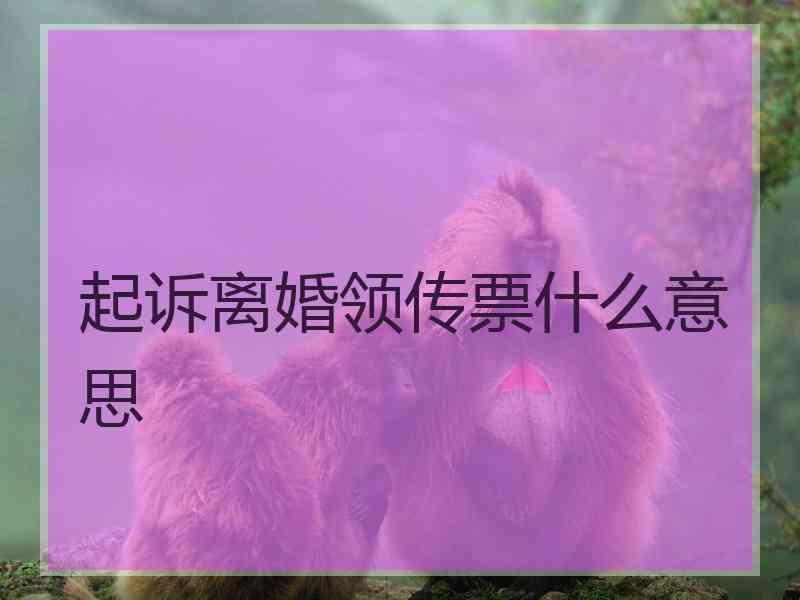 起诉离婚领传票什么意思