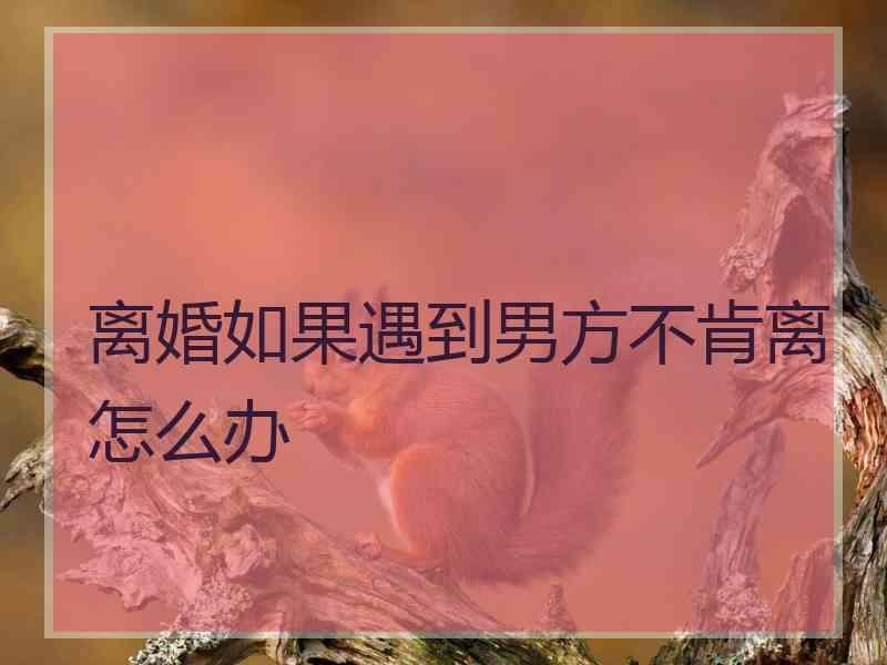 离婚如果遇到男方不肯离怎么办