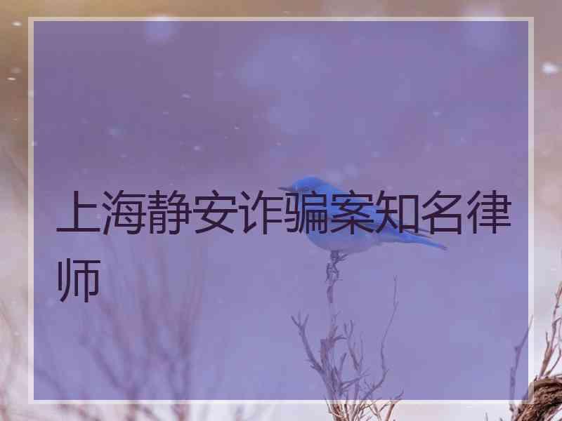 上海静安诈骗案知名律师