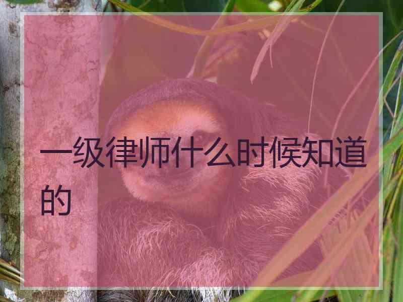 一级律师什么时候知道的
