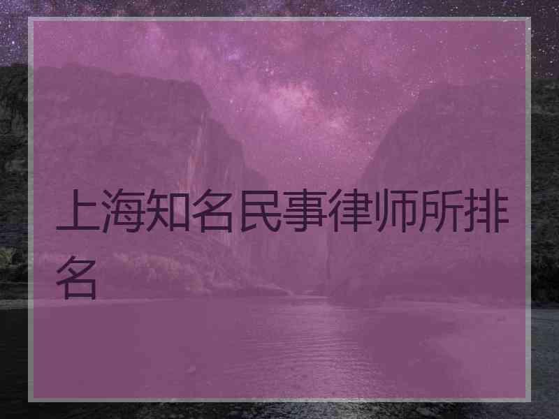 上海知名民事律师所排名