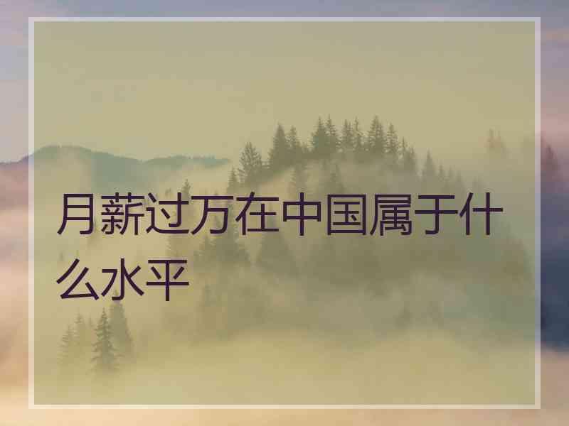 月薪过万在中国属于什么水平