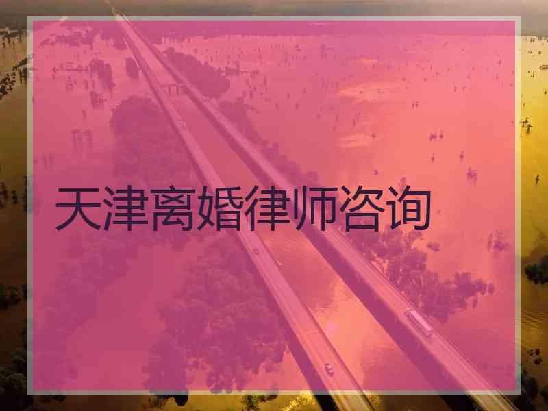 天津离婚律师咨询