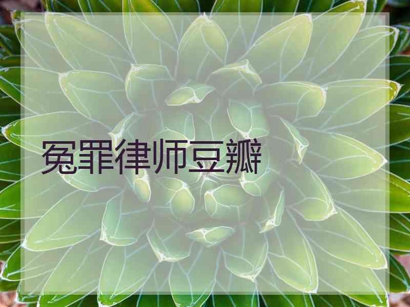 冤罪律师豆瓣