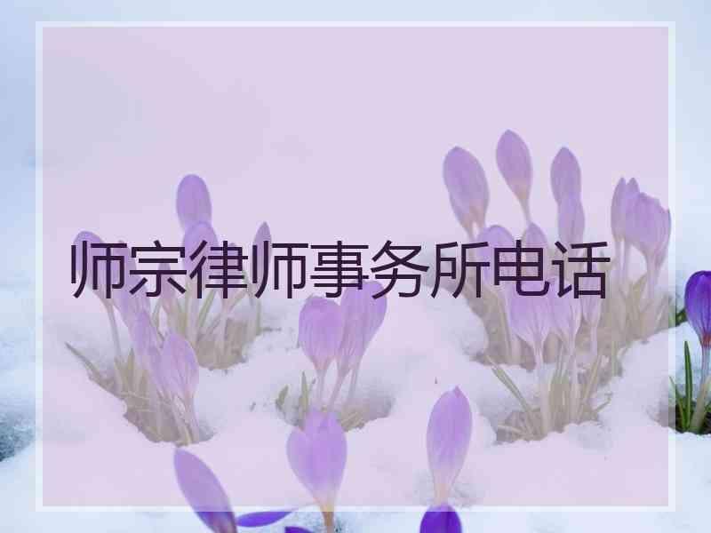 师宗律师事务所电话