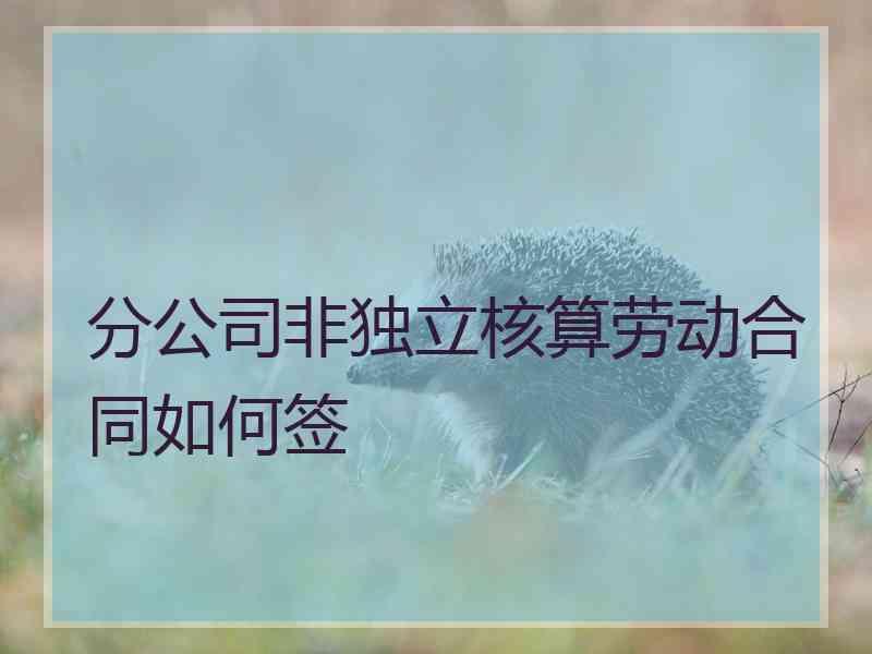 分公司非独立核算劳动合同如何签