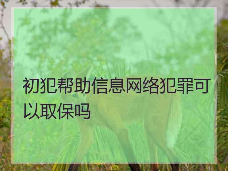 初犯帮助信息网络犯罪可以取保吗