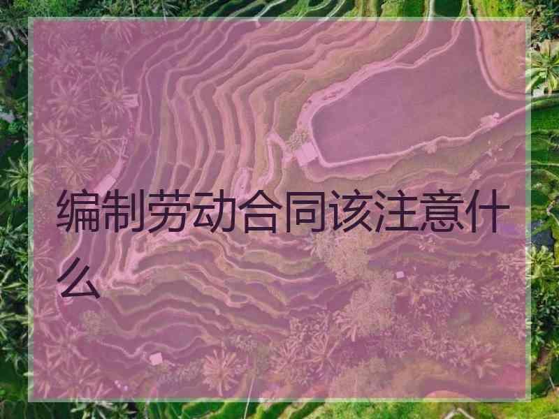 编制劳动合同该注意什么