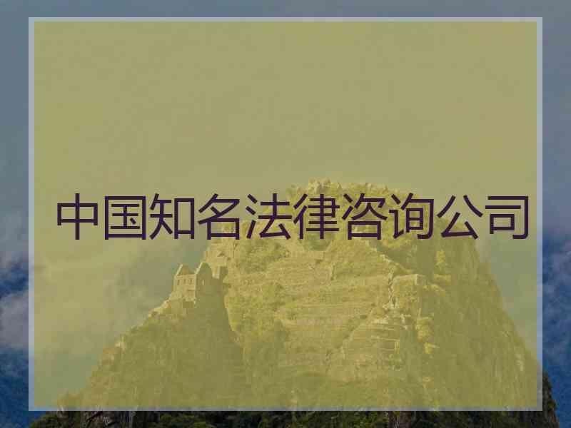 中国知名法律咨询公司