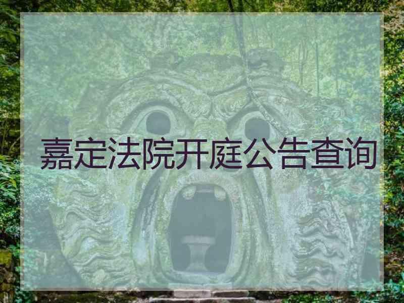 嘉定法院开庭公告查询