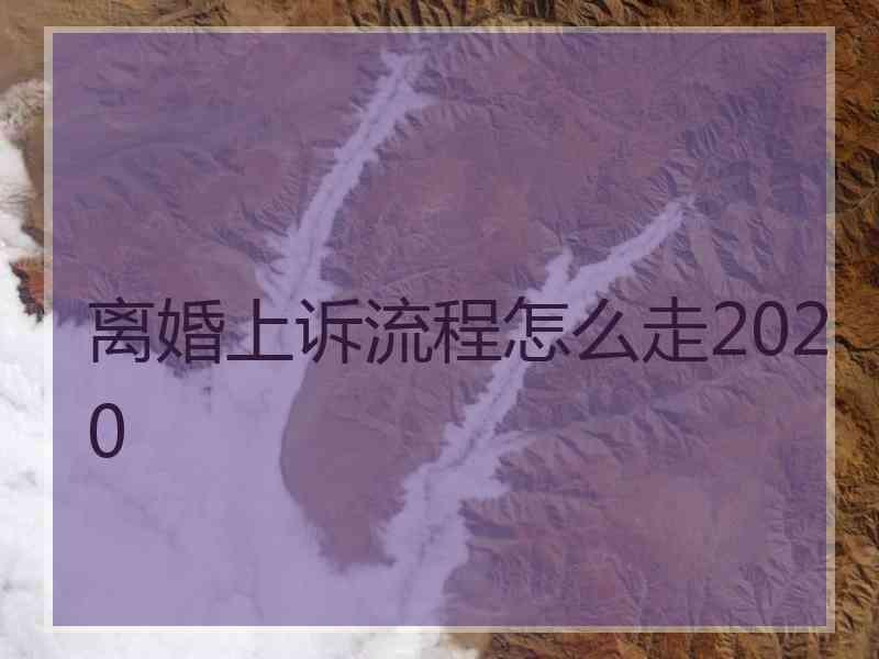 离婚上诉流程怎么走2020