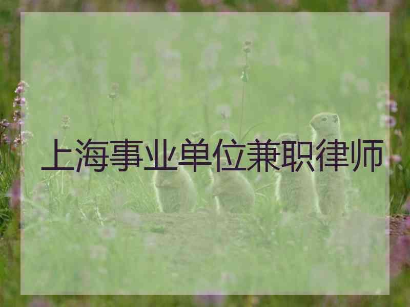 上海事业单位兼职律师