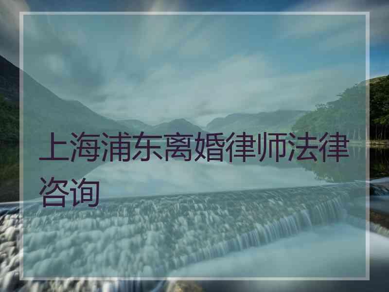 上海浦东离婚律师法律咨询