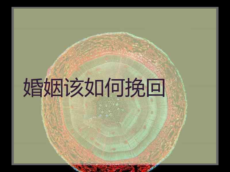 婚姻该如何挽回