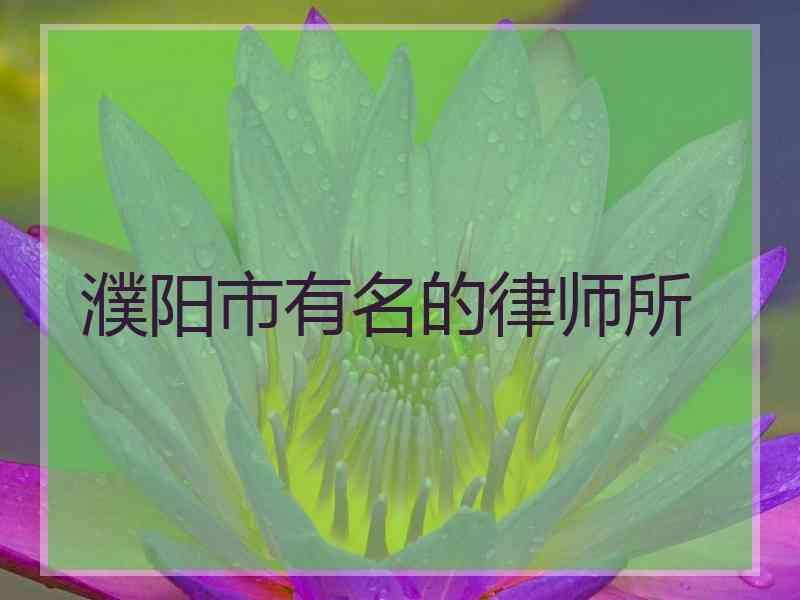 濮阳市有名的律师所