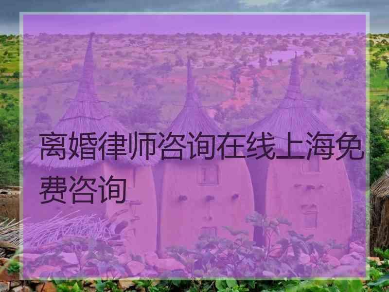 离婚律师咨询在线上海免费咨询