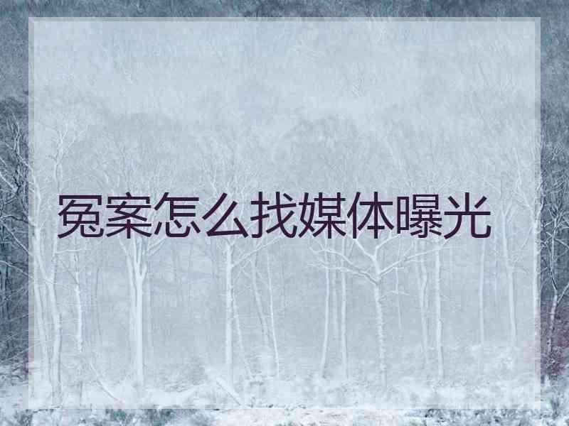 冤案怎么找媒体曝光