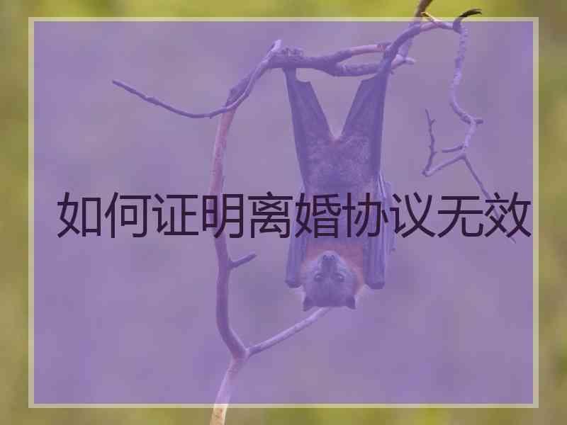 如何证明离婚协议无效