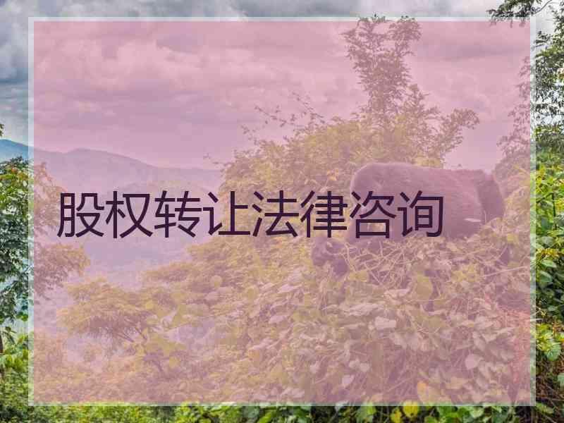 股权转让法律咨询