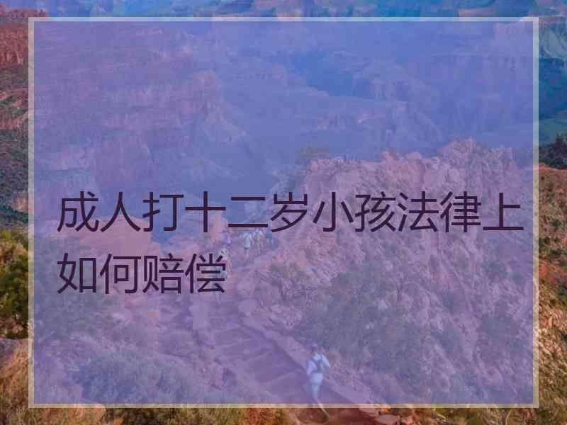 成人打十二岁小孩法律上如何赔偿