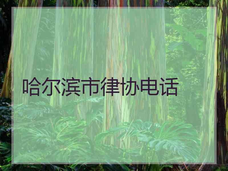 哈尔滨市律协电话