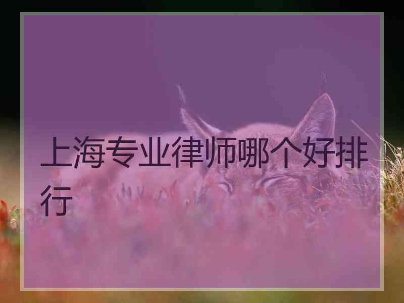 上海专业律师哪个好排行