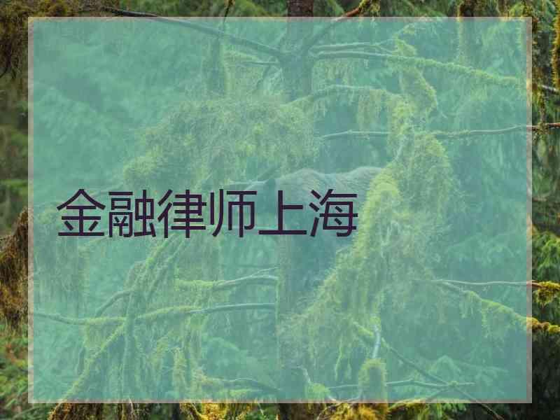 金融律师上海