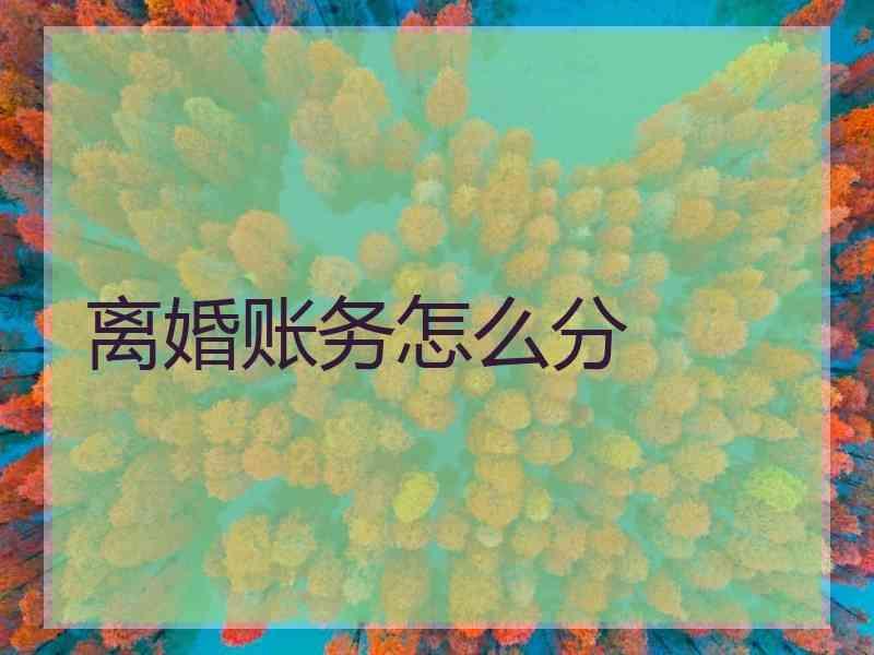 离婚账务怎么分