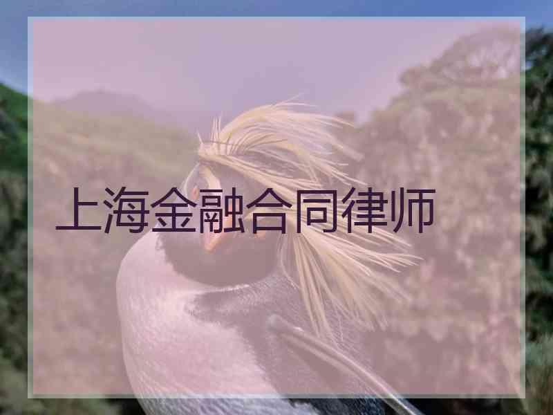 上海金融合同律师