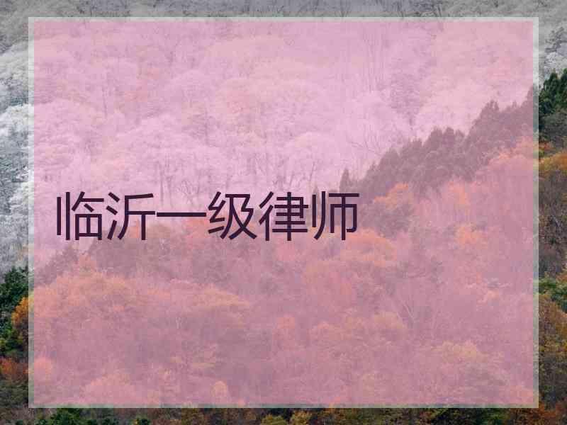 临沂一级律师